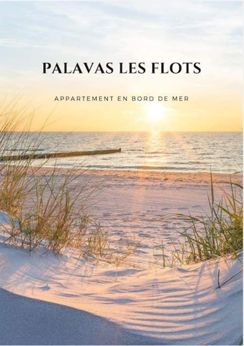 Appartement Palavas Les Flots T2 + Parking Prive Eksteriør billede